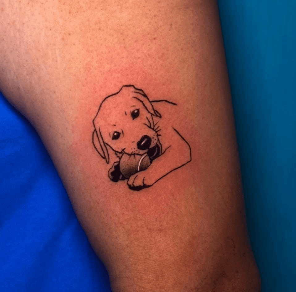 Puppy tattoo holding a tennis ball on an arm